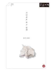 시나리오 쓰고 있네 : 황서미 에세이 : 큰글자책