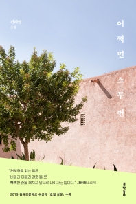 어쩌면 스무 번 : 편혜영 소설