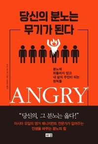 당신의 분노는 무기가 된다 : 분노에 휘둘리지 않고 내 삶의 주인이 되는 원칙들