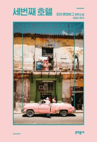 세번째 호텔 : 로라 밴덴버그 장편소설