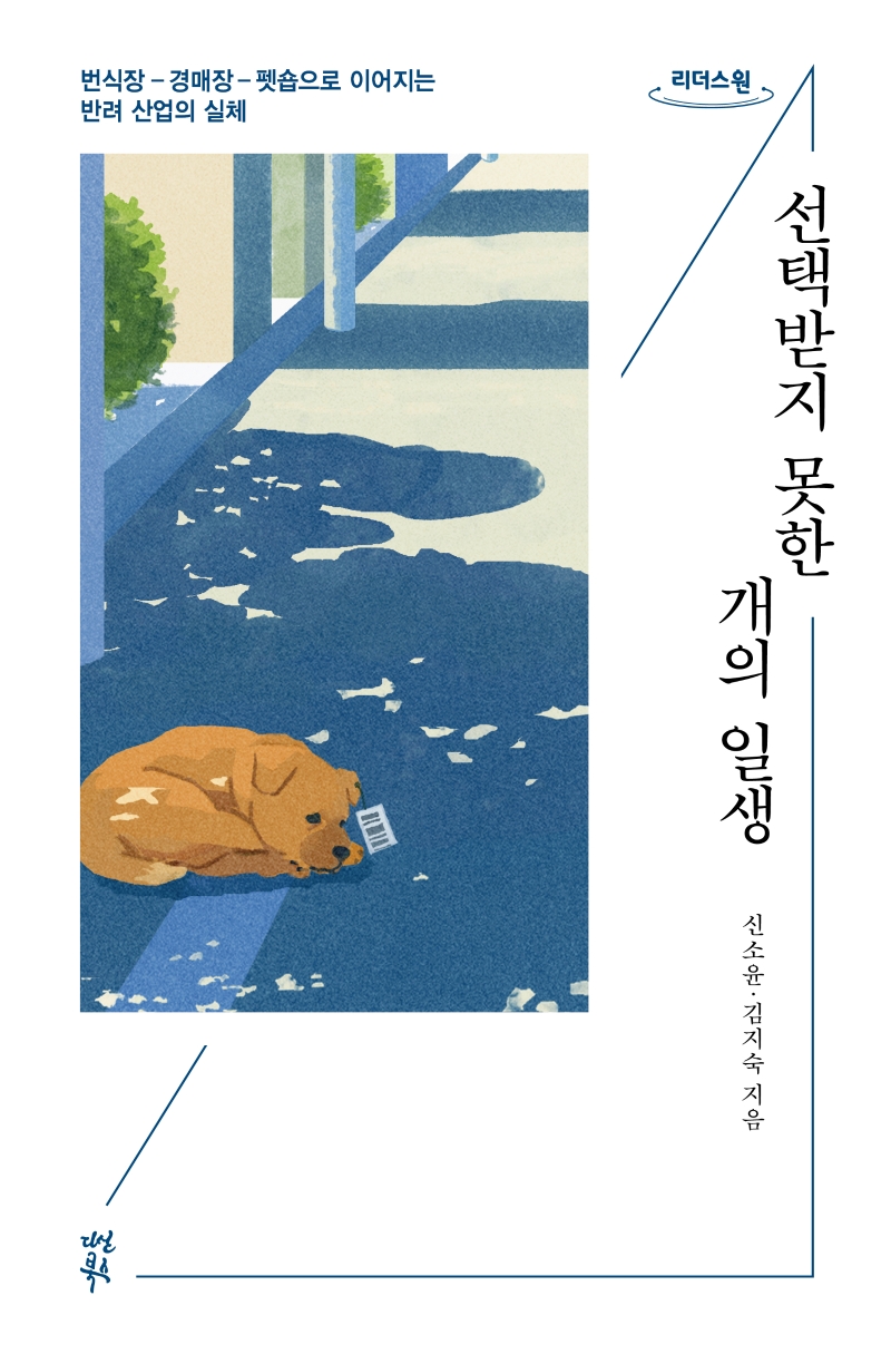 선택받지 못한 개의 일생 : 번식장-경매장-펫숍으로 이어지는 반려 산업의 실체 : 큰글자도서