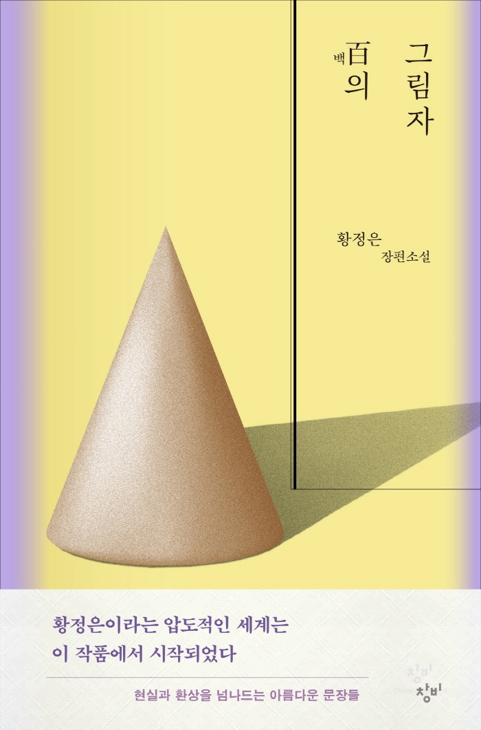 백(百)의 그림자 : 황정은 장편소설