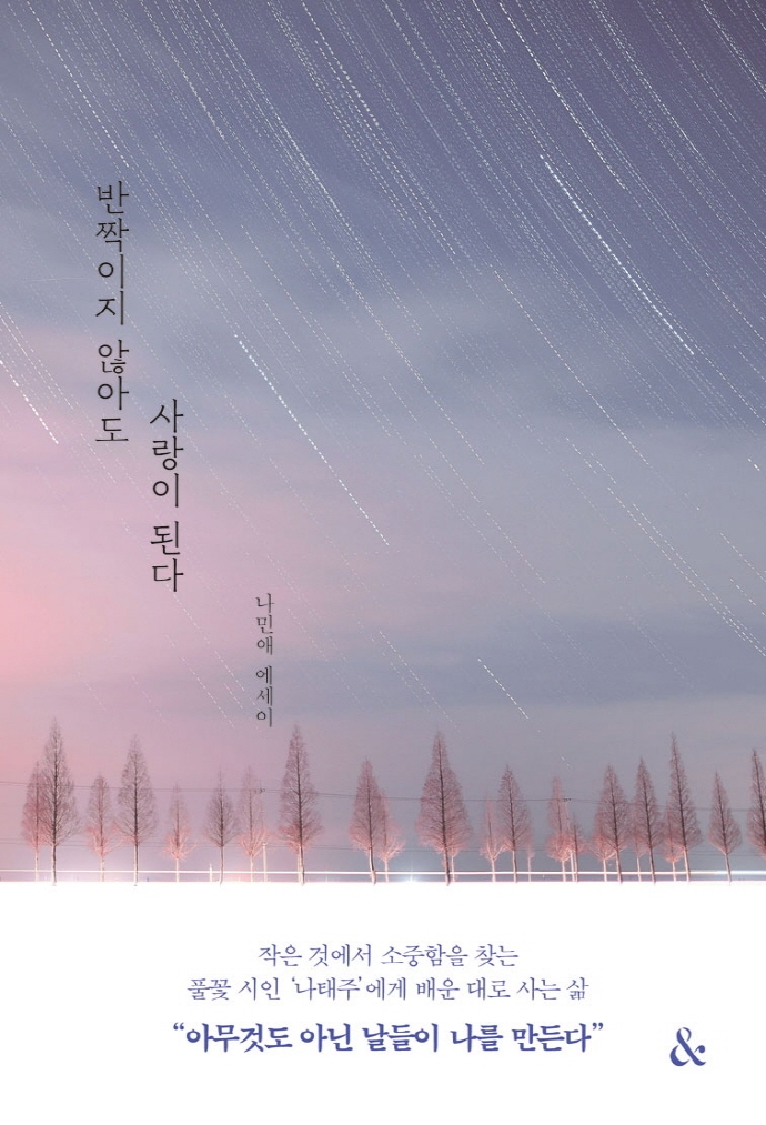 반짝이지 않아도 사랑이 된다 : 나민애 에세이