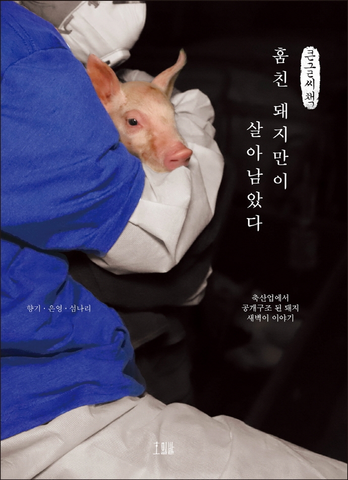 훔친 돼지만이 살아남았다 : 축산업에서 공개구조 된 돼지 새벽이 이야기 : 큰글자책