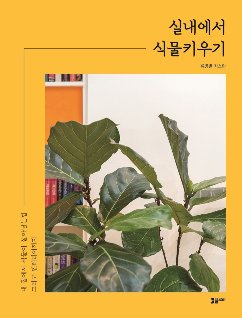 실내에서 식물키우기 = Growing plants indoors : 내 집에서 식물이 살아남는법 그리고 인테리어까지