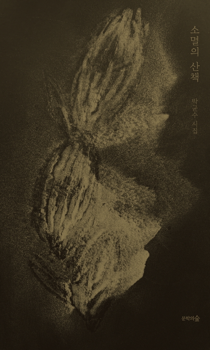 소멸의 산책 : 박균수 시집