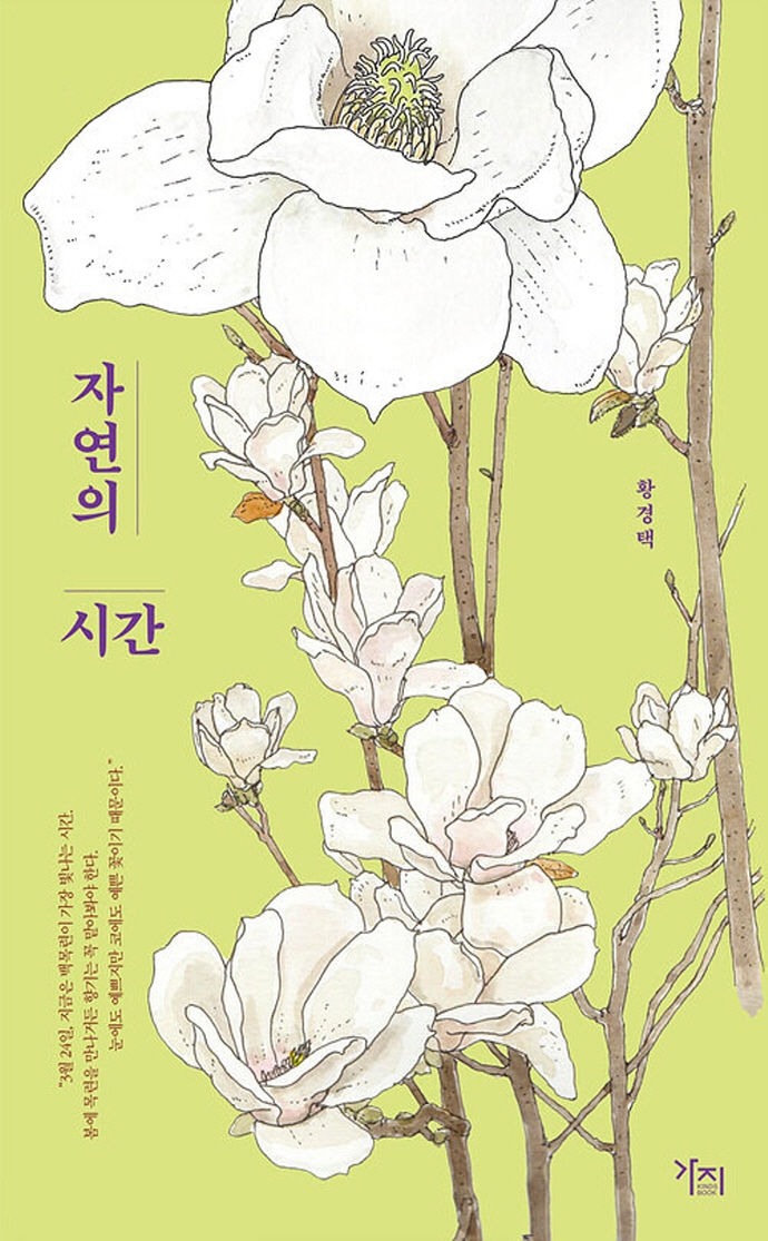 자연의 시간 : 큰글자도서