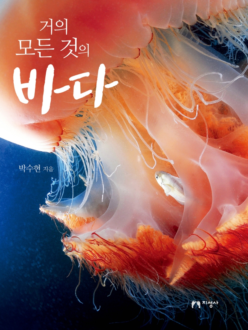 (거의 모든 것의) 바다