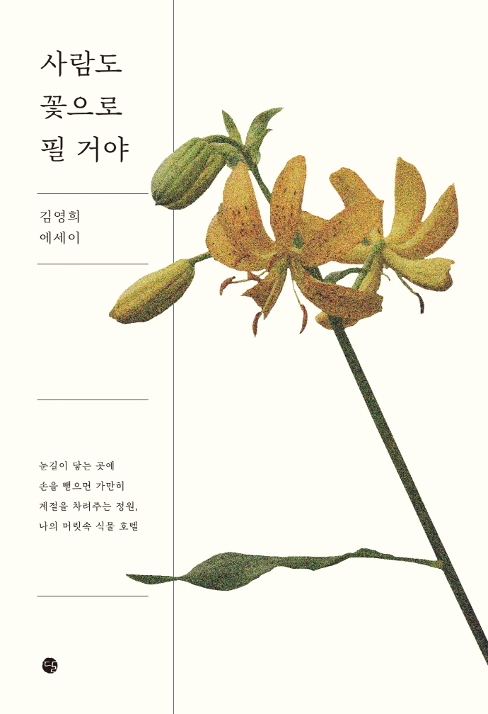 사람도 꽃으로 필 거야 : 김영희 에세이