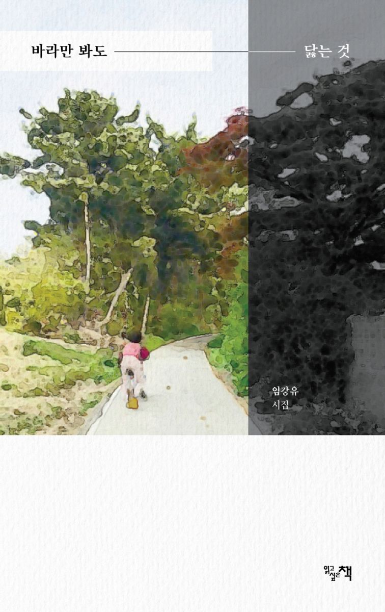 바라만 봐도 닳는 것 : 임강유 시집