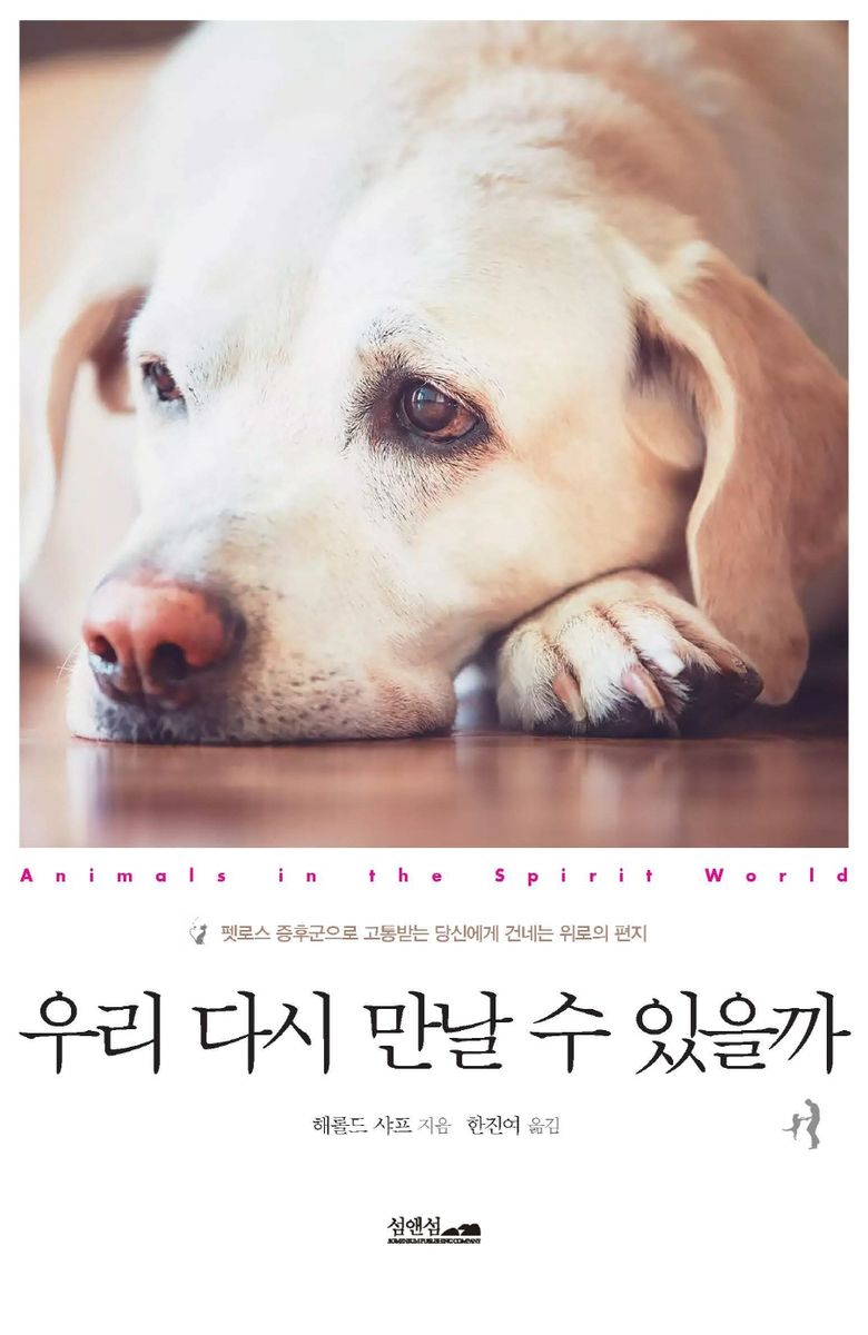 우리 다시 만날 수 있을까 : 펫로스 증후군으로 고통받는 당신에게 건네는 위로의 편지