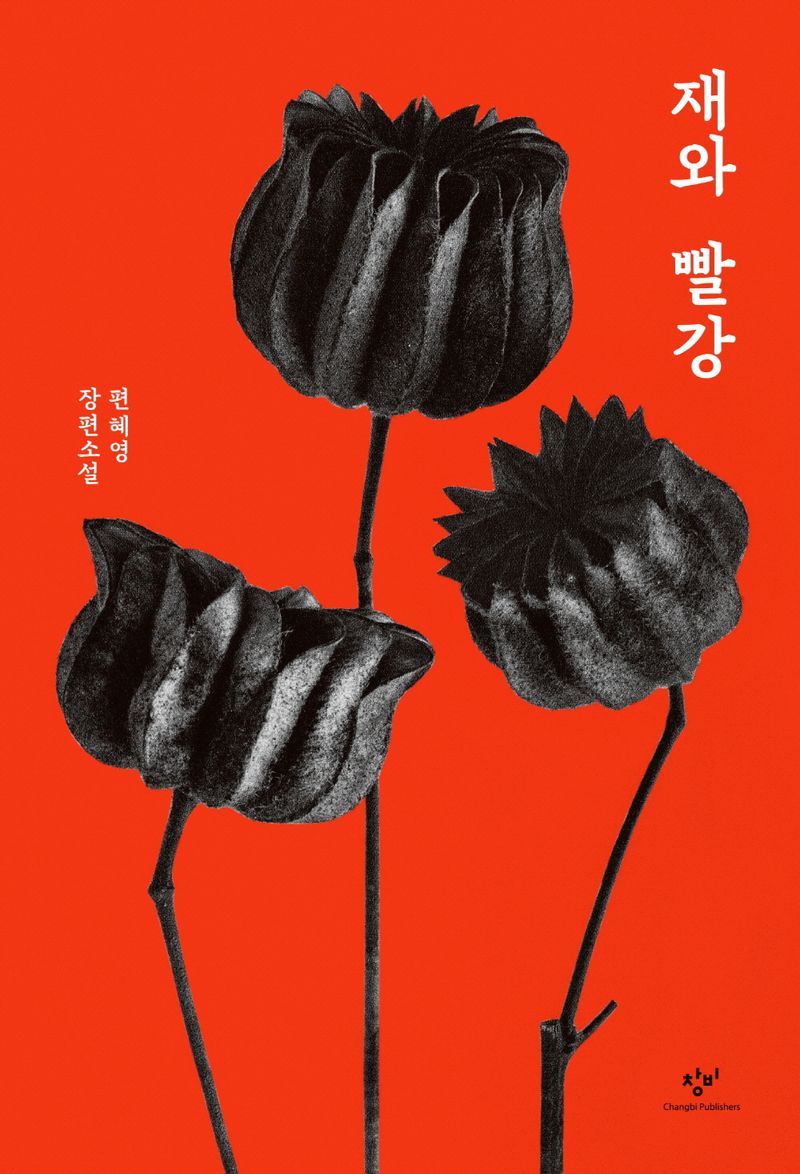 재와 빨강 : 편혜영 장편소설