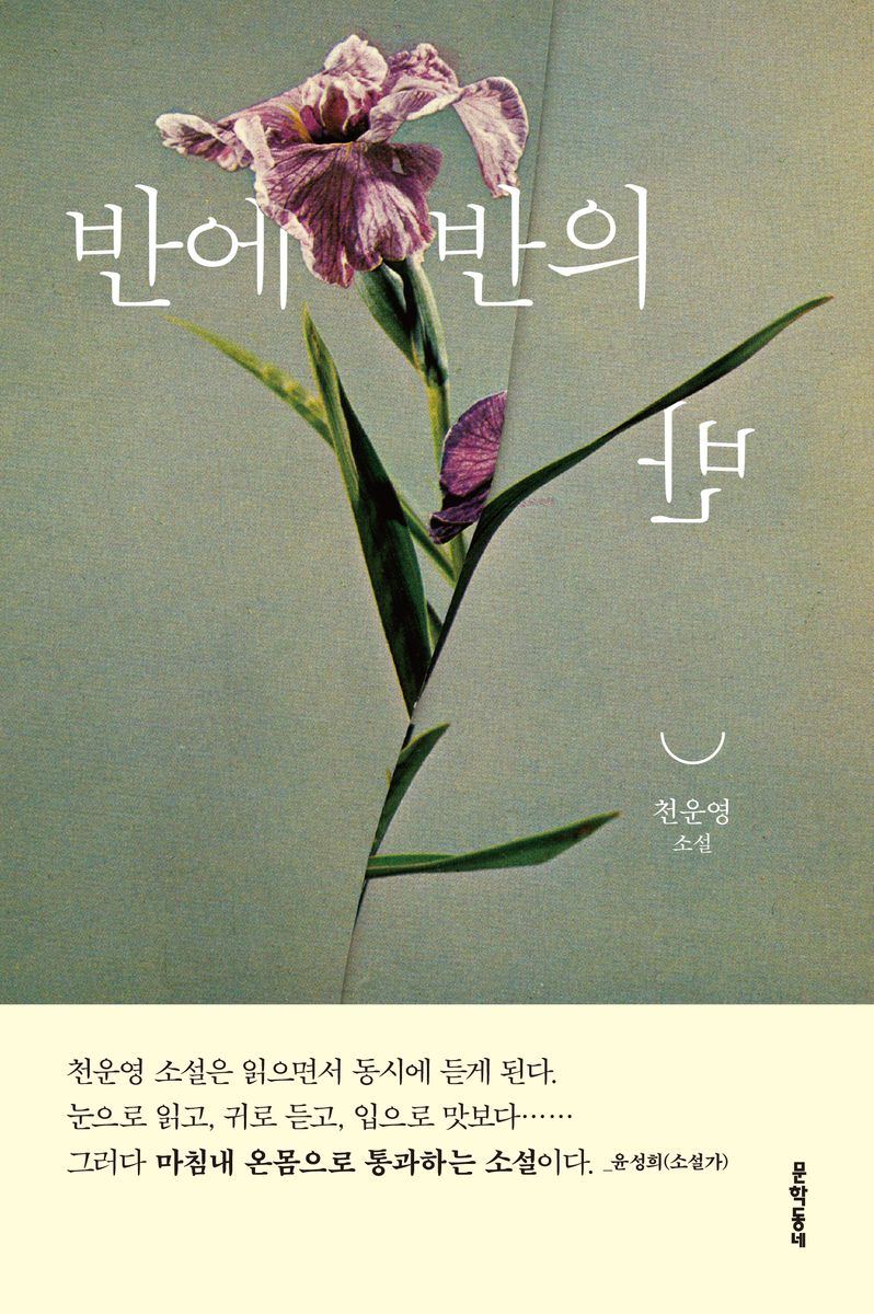 반에 반의 반 : 천운영 소설