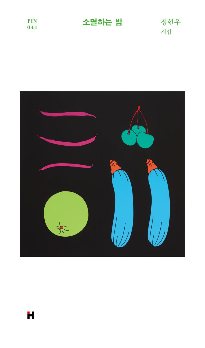 소멸하는 밤 : 정현우 시집