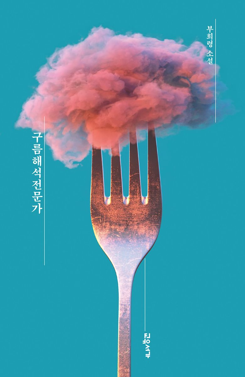 구름해석전문가 : 부희령 소설