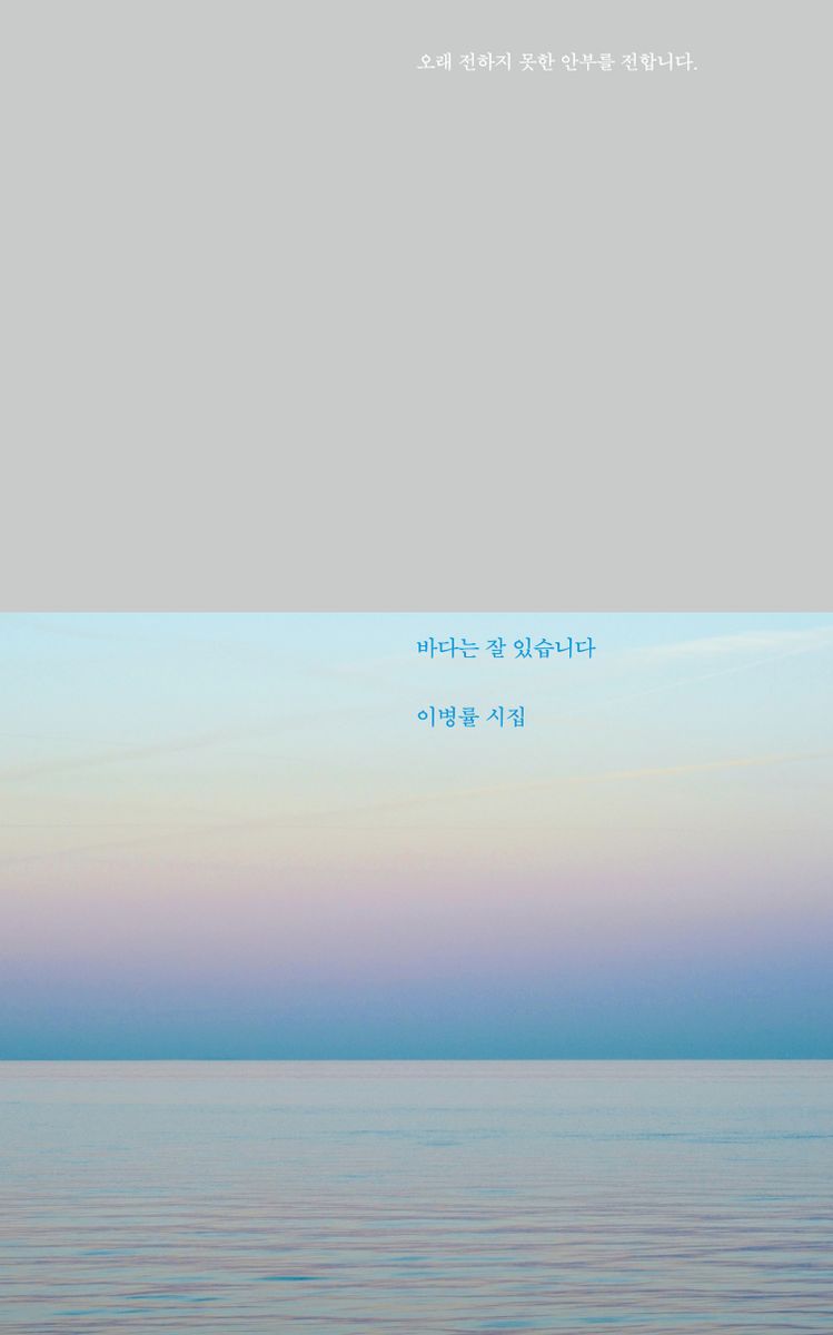 바다는 잘 있습니다 : 이병률 시집
