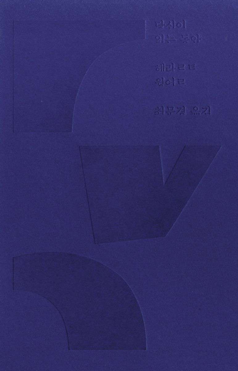 당신이 읽는 동안