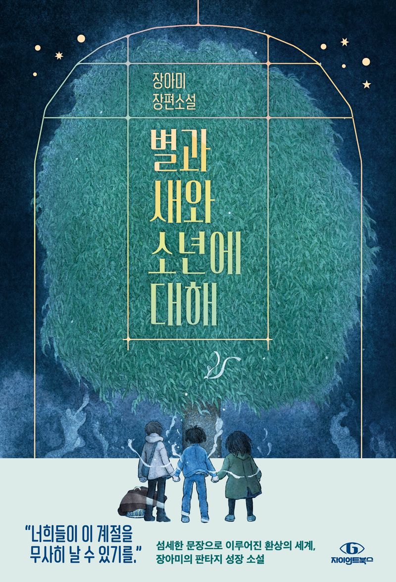 별과 새와 소년에 대해 : 장아미 장편소설