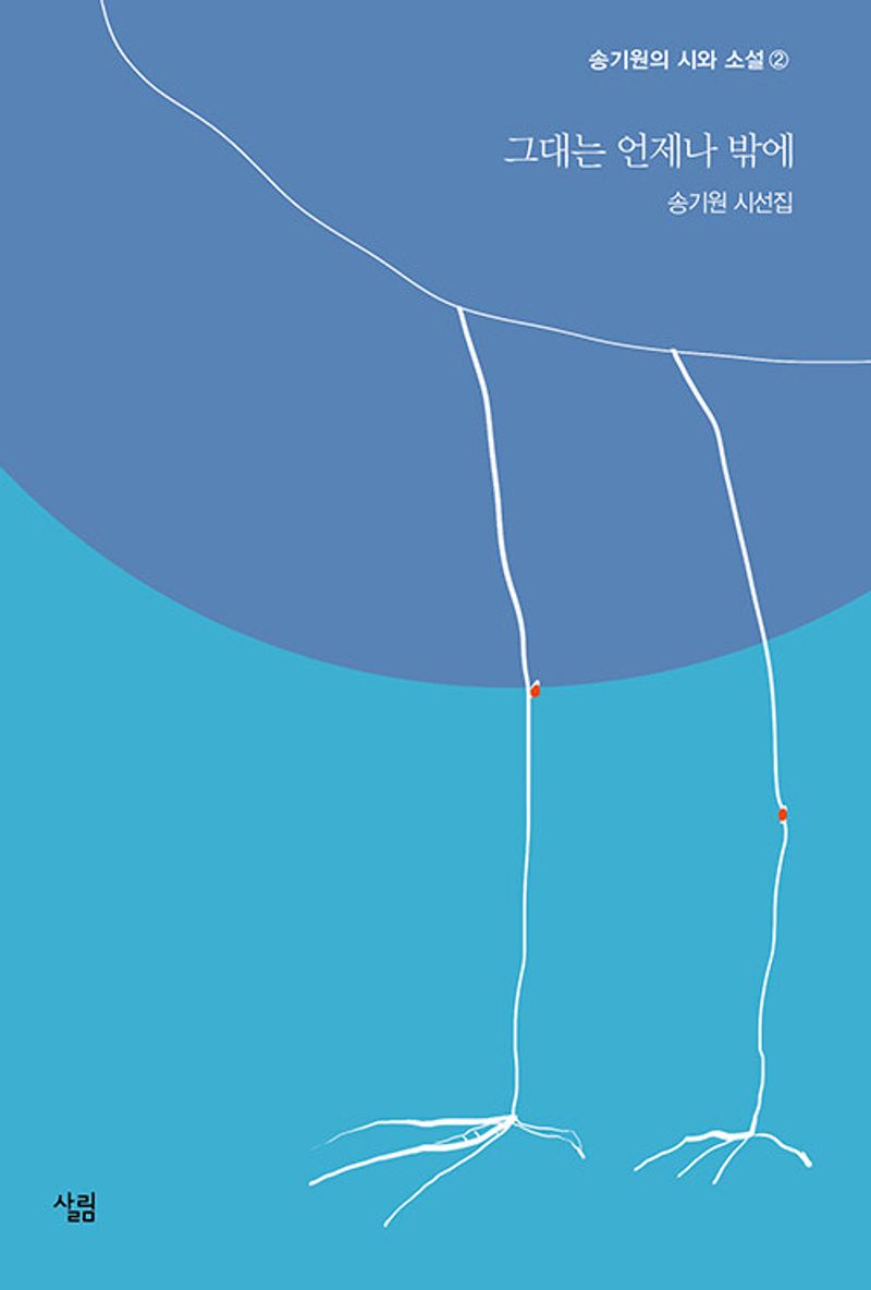 그대는 언제나 밖에 : 송기원 시선집