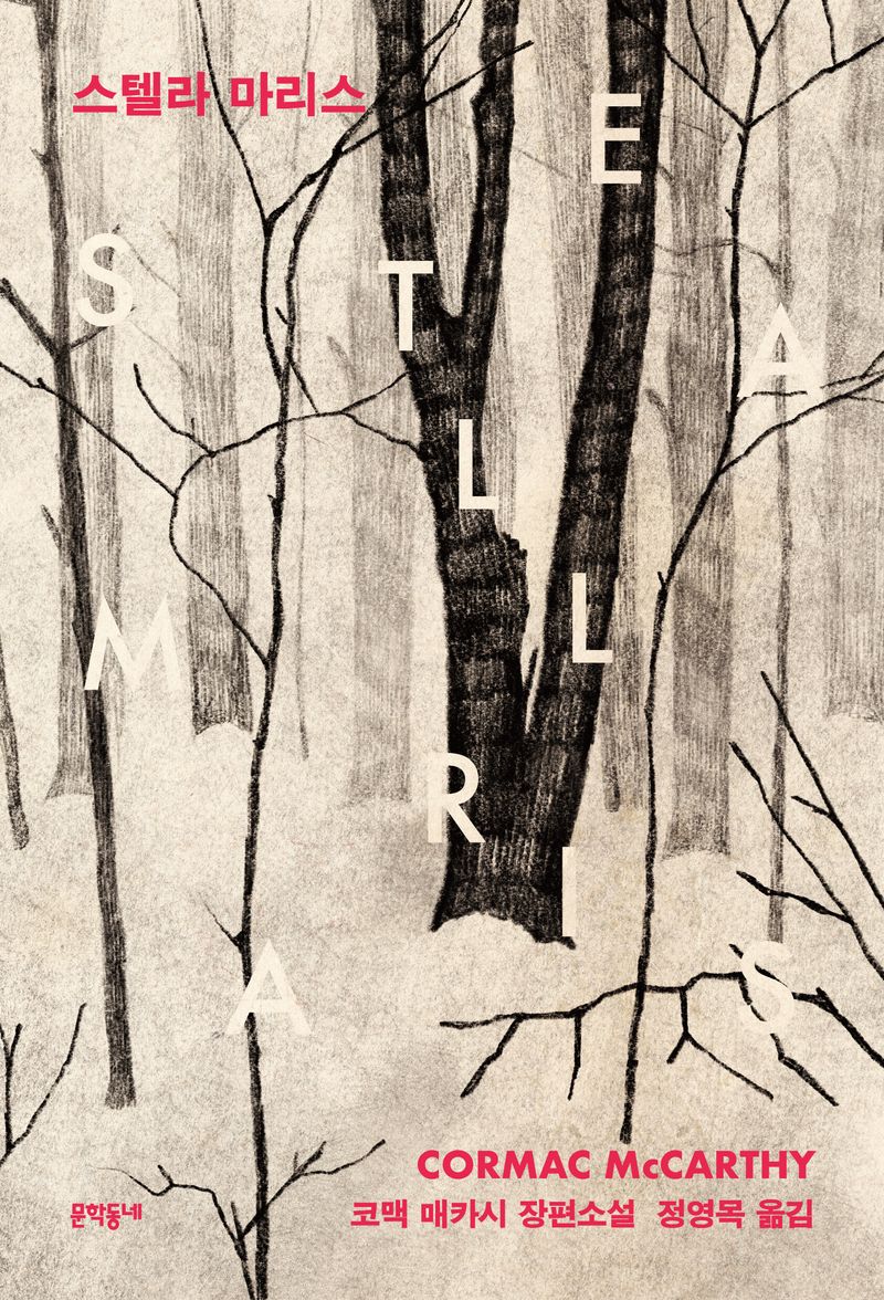 스텔라 마리스 : 코맥 매카시 장편소설