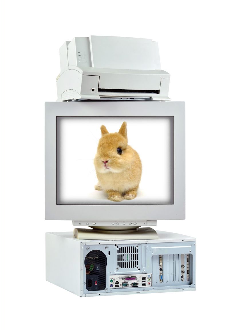 시간을 거슬러 간 나비 : 데뷔 30주년 기념 초기 단편집