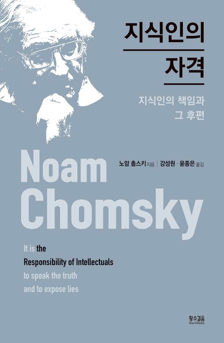 지식인의 자격 : 지식인의 책임과 그 후편