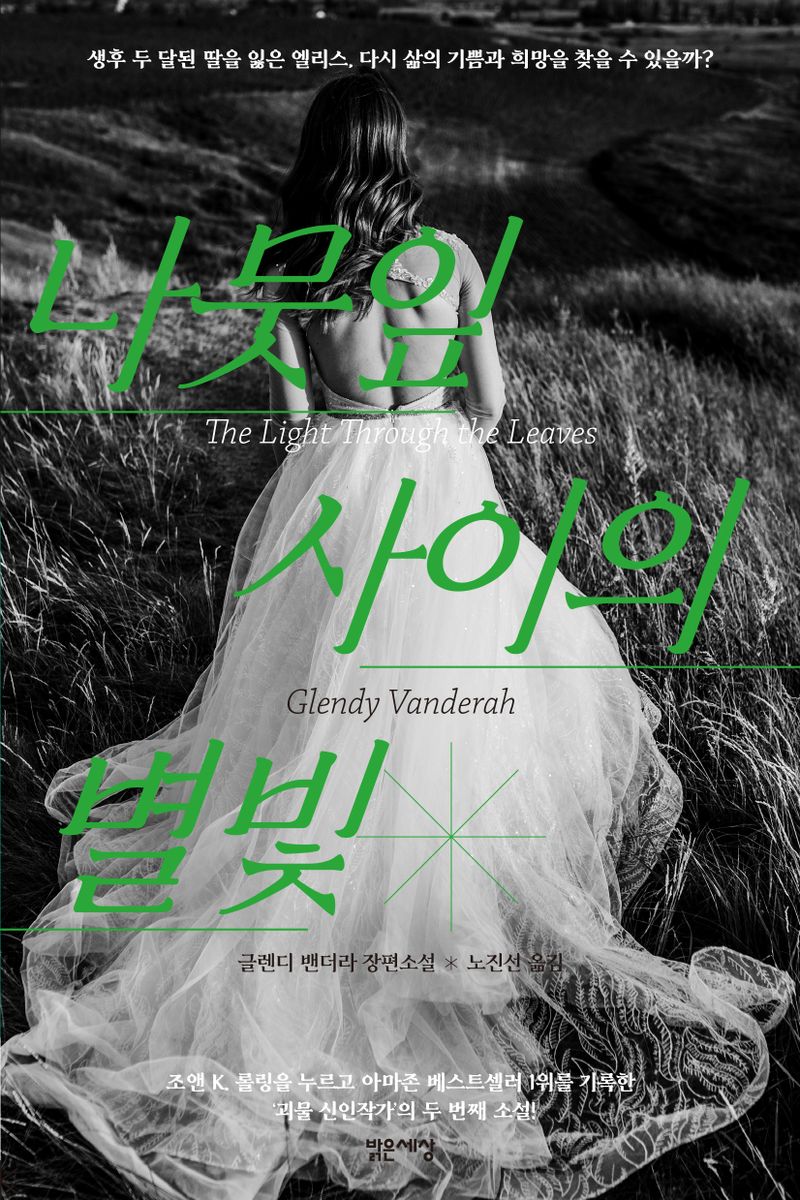 나뭇잎 사이의 별빛 : 글렌디 밴더라 장편소설