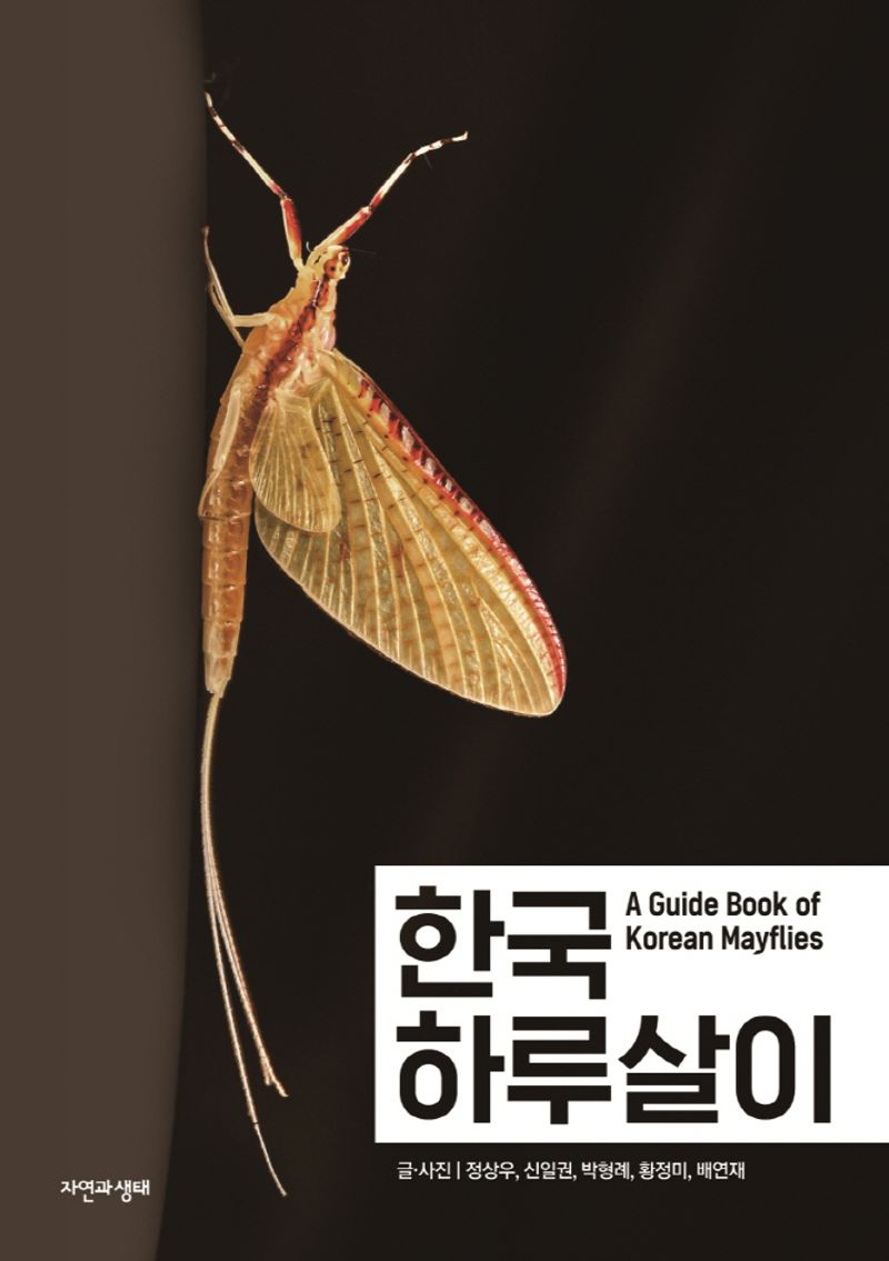 한국 하루살이 = A guide book of Korean mayflies