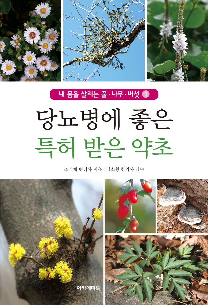 당뇨병에 좋은 특허 받은 약초