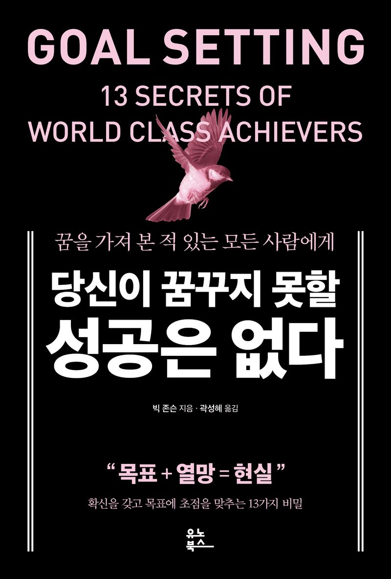 (당신이 꿈꾸지 못할) 성공은 없다 : 꿈을 가져 본 적 있는 모든 사람에게