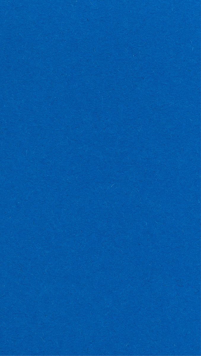 안규철의 질문들