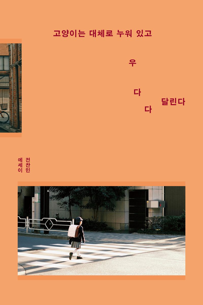 고양이는 대체로 누워 있고 우다다 달린다 : 전찬민 에세이