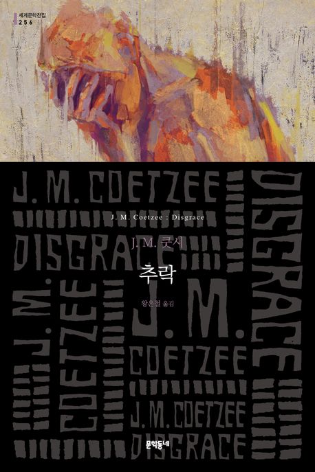 추락 : J.M. 쿳시 장편소설