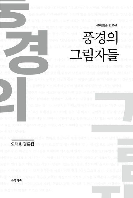 풍경의 그림자들 : 오태호 평론집