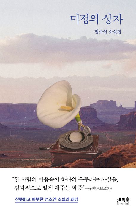 미정의 상자 : 정소연 소설집