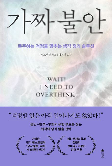 가짜 불안 : 폭주하는 걱정을 멈추는 생각 정리 솔루션