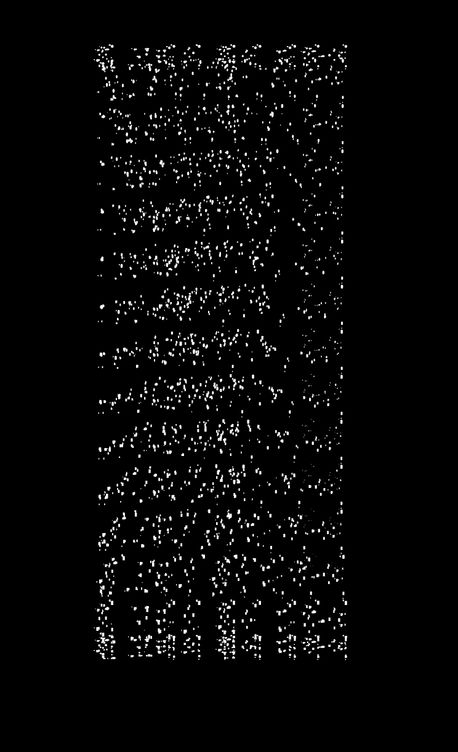 흰 고래의 흼에 대하여