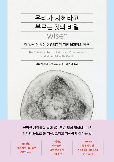 우리가 지혜라고 부르는 것의 비밀 : 더 일찍 더 많이 현명해지기 위한 뇌과학의 탐구