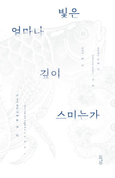 빛은 얼마나 깊이 스미는가 : 열 가지 바다 생물로 본 삶