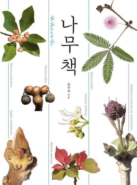 나무 책 = The book of the tree