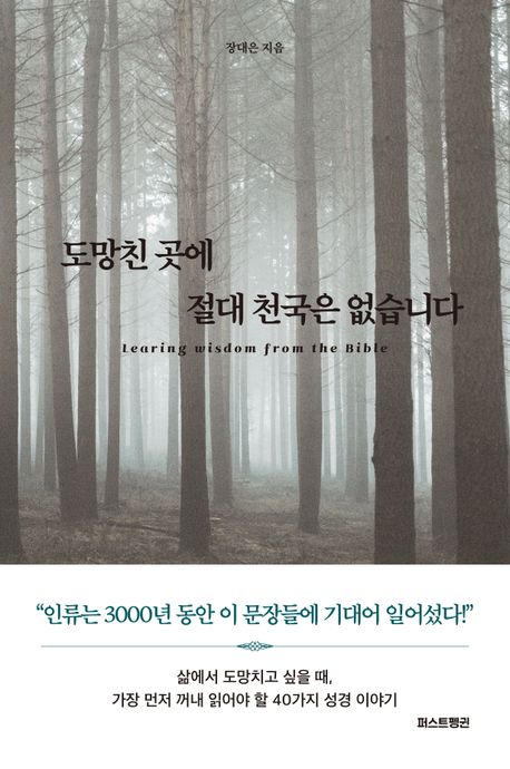 도망친 곳에 절대 천국은 없습니다 : learning wisdom from the bible