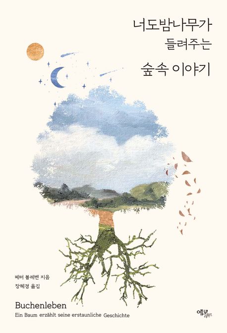 너도밤나무가 들려주는 숲속 이야기