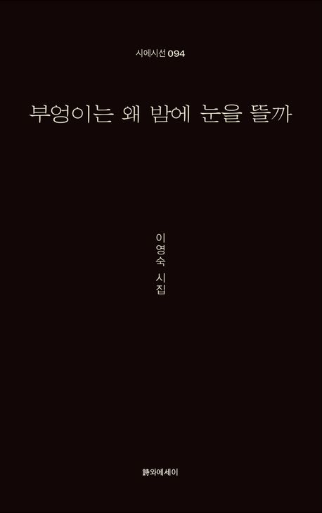 부엉이는 왜 밤에 눈을 뜰까 : 이영숙 시집