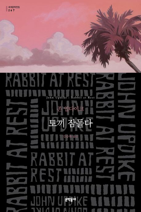 토끼 잠들다 : 존 업다이크 장편소설