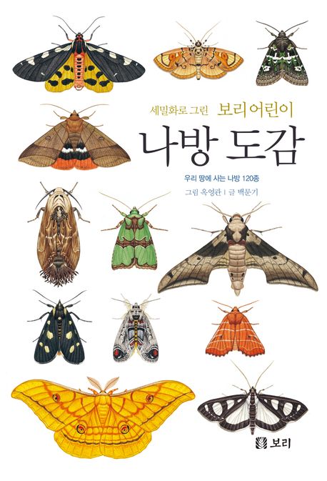 (세밀화로 그린 보리 어린이) 나방 도감 : 우리 땅에 사는 나방 120종