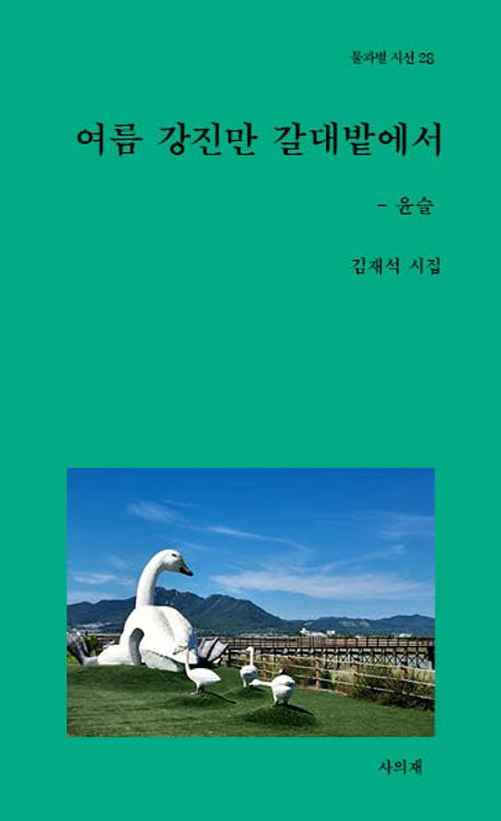 여름 강진만 갈대밭에서 : 윤슬 : 김재석 시집