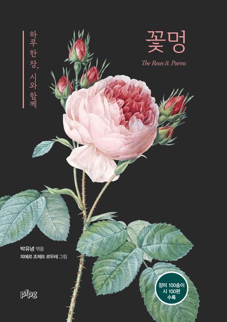 꽃멍 = The roses & poems : 하루 한 장, 시와 함께