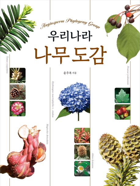 (Angiosperm phylogeny group) 우리나라 나무 도감