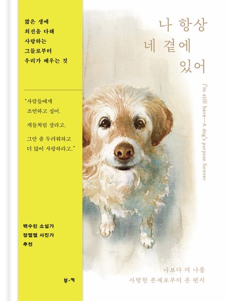 나 항상 네 곁에 있어 : 나보다 더 나를 사랑한 존재로부터 온 편지