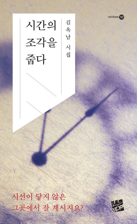 시간의 조각을 줍다 : 김옥남 시집